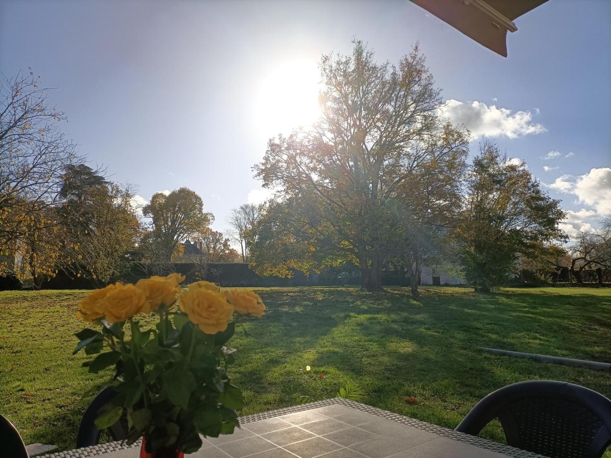 Gite Climatise Villa Esperanza 2 A 5 Personnes Valençay エクステリア 写真
