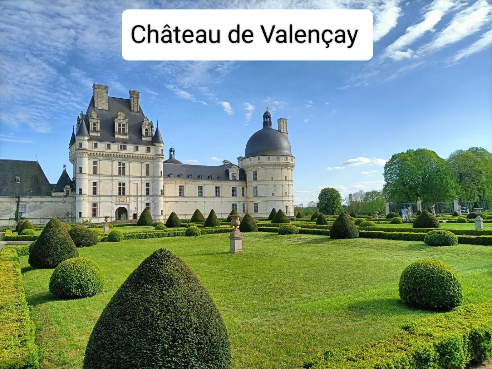 Gite Climatise Villa Esperanza 2 A 5 Personnes Valençay エクステリア 写真